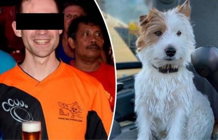 Jogger stabbing dog Dribble to death, files complaint after death …