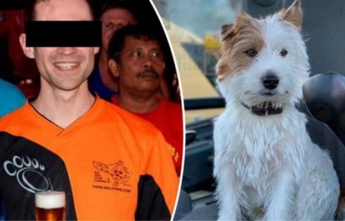 Jogger stabbing dog Dribble to death, files complaint after death …...