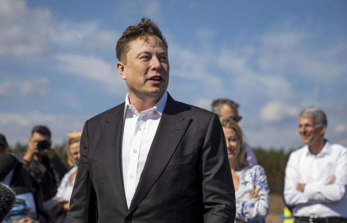 Tesla: Elon Musk announces new model especially for Europe and battery factory
