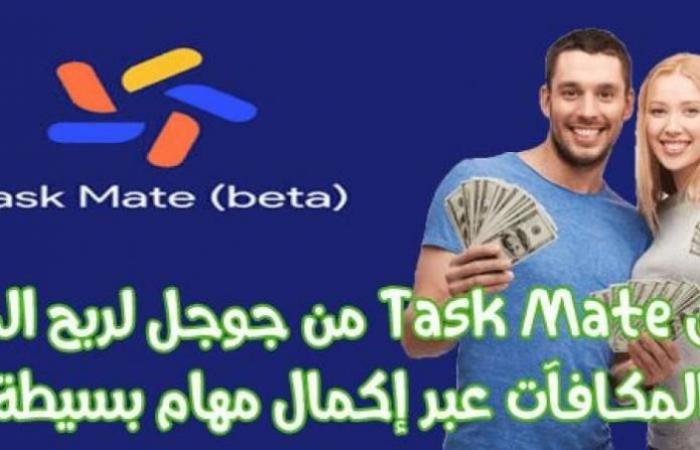 Task Mate app from Google to win money and rewards by...