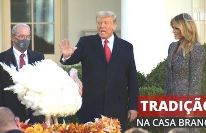 Trump forgives Corn turkey on the eve of Thanksgiving in the...