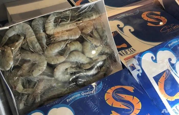 Singapore imports 120 tons of shrimp from Saudi Arabia … and...