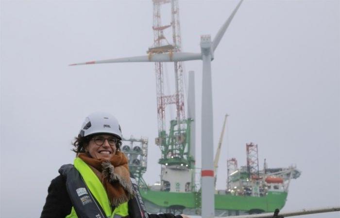 Largest wind farm in the North Sea ready for use