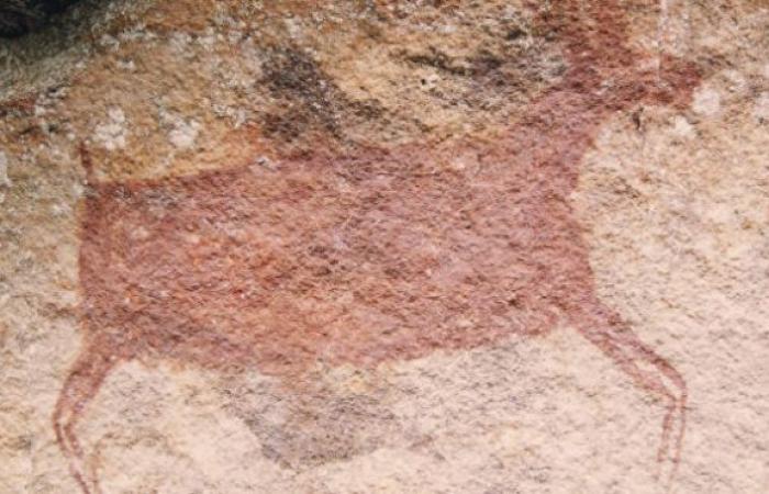 Rock paintings are found in the heart of the Amazon rainforest...