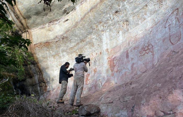 Archaeologists discover cave paintings in inhospitable terrain in the Amazon |...