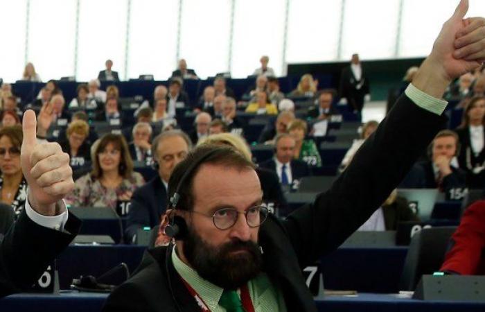 Escape attempt via rain gutter: MEP resigns after corona sex party