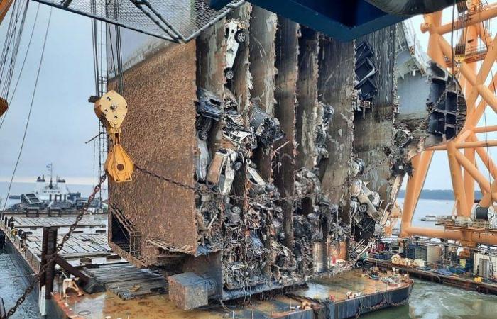 Anchor chain cuts through sunken cargo ship to reveal 4,200 Hyundai...