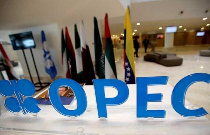 “OPEC +” is secretly working for reform between Saudi Arabia and...