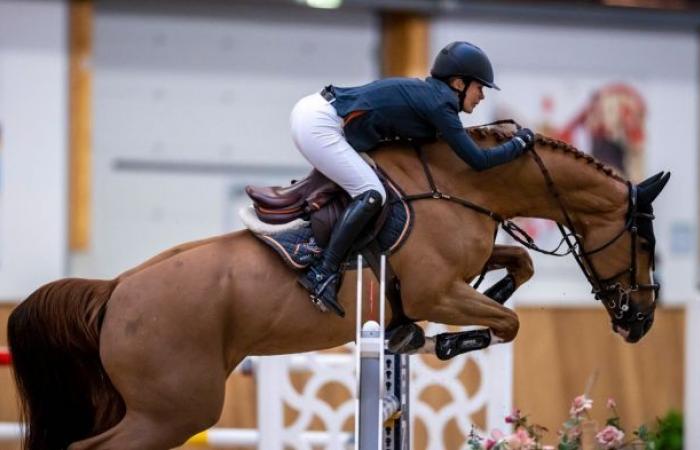 Show jumping: Annelies Vorsselmans horse dies at German championships
