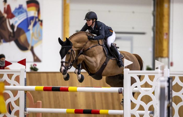 Horse dies in German riding championship