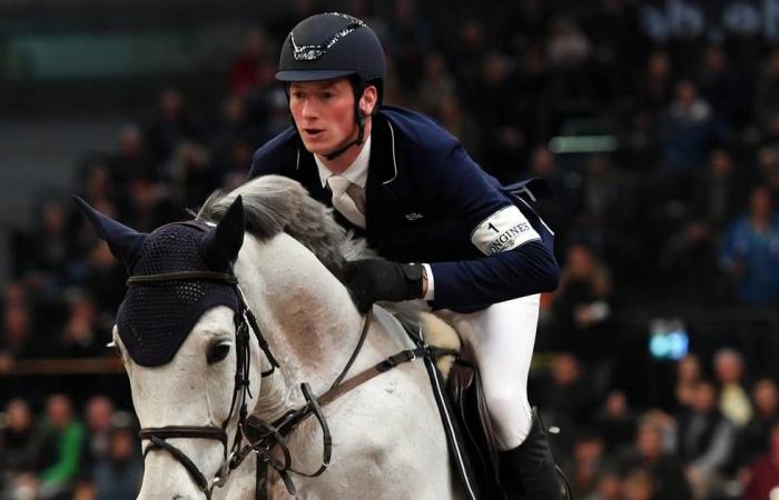 Dead horse overshadows show jumping championship