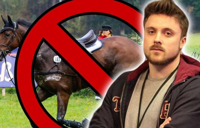 Forsen: Lifelong ban on Twitch – Streamer shows tasteless horse image