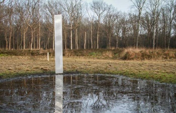 Find in Hesse: mysterious metal pillar found in Germany