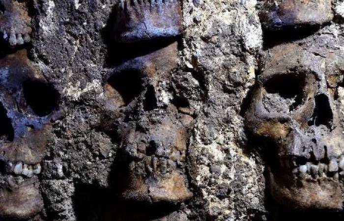 New stretch of tzompantli, Aztec tower of human skulls found in...