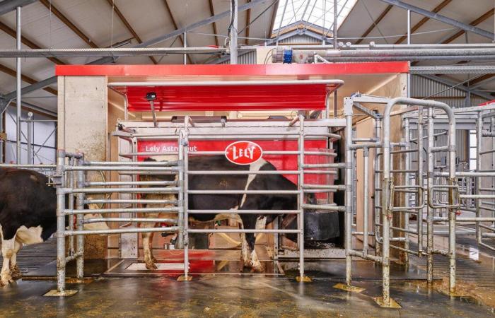 Department of Agriculture inaugurates the first robotic dairy in Puerto Rico