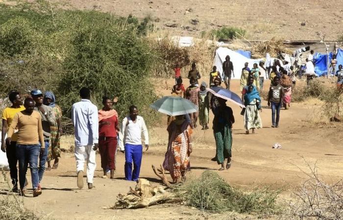 EU delays some budget support to Ethiopia over Tigray conflict