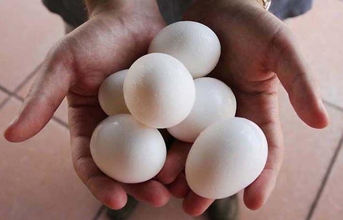 The price of an egg in Pakistan is 30 rupees en
