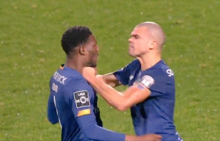 FC Porto: Strong altercation between Mamadou Loum Ndiaye and Pepe – Video