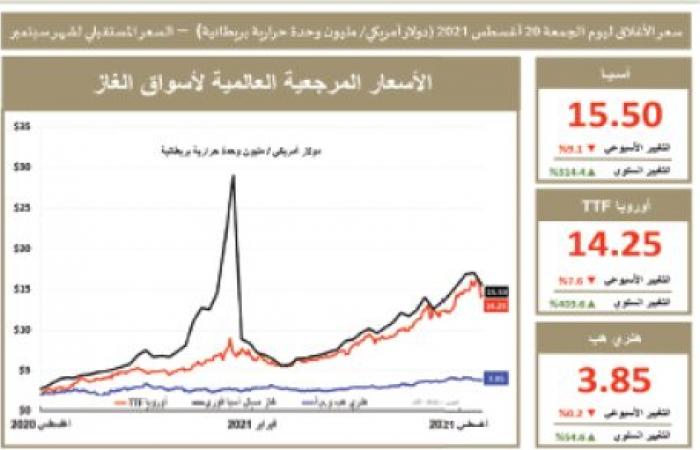 Oil records the largest decline – Al-Raya newspaper