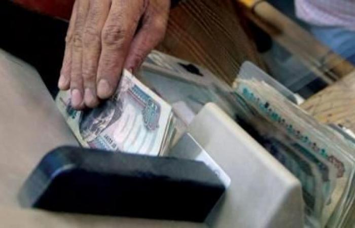 “Fitch” expects the stability of the value of the Egyptian pound