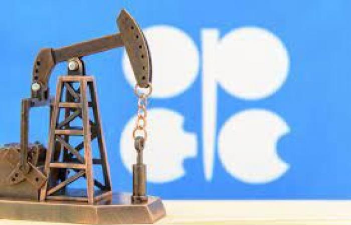 OPEC + expects the surplus to return to the oil market...