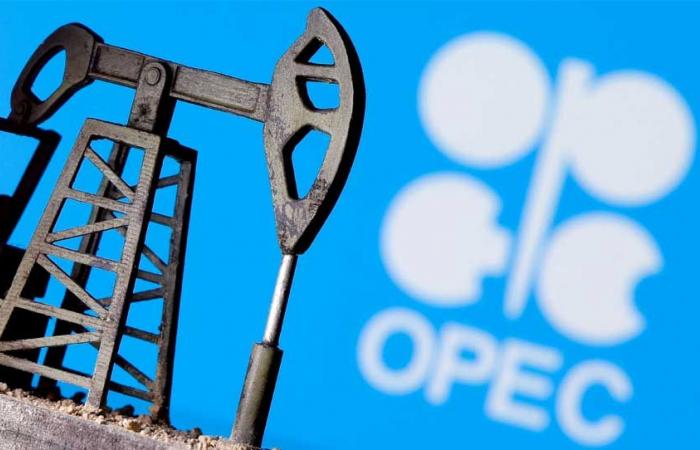 Riyadh confirms that “OPEC +” wants to reduce production capacity, and...