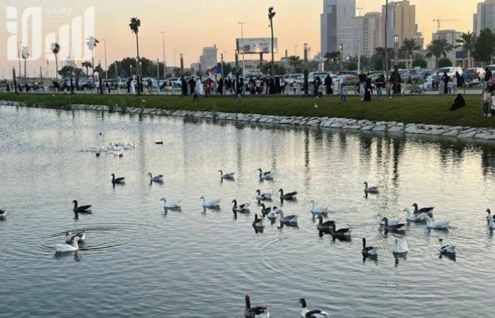 In pictures .. What do you know about “Lake of Ducks...