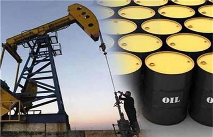 Iraqi Oil Minister: We expect the price of a barrel to...