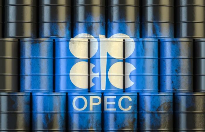 'Nothing to worry about' as OPEC+ trims 2021 oil demand view, keeps 2022 steady: Sources