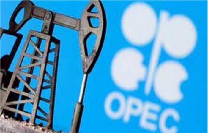 OPEC: plans to withdraw from oil stocks may lead to a...