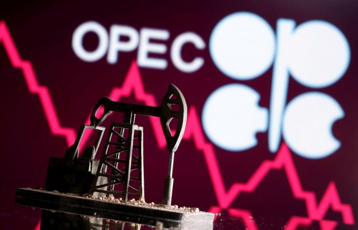 “OPEC +” talks about the impact of Omicron on oil markets