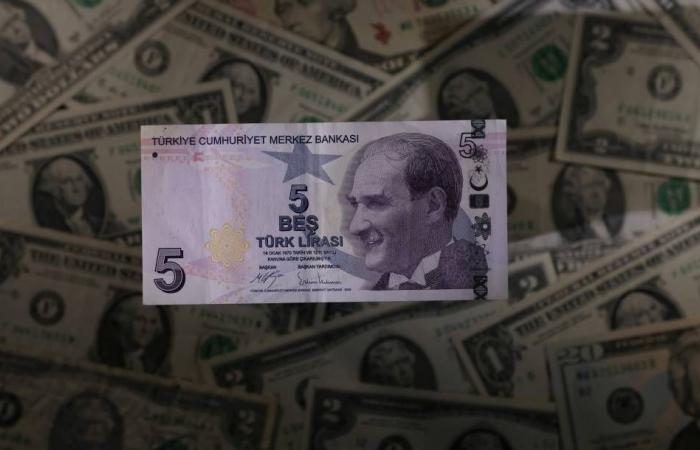 Turkish lira drops 5% to a new record