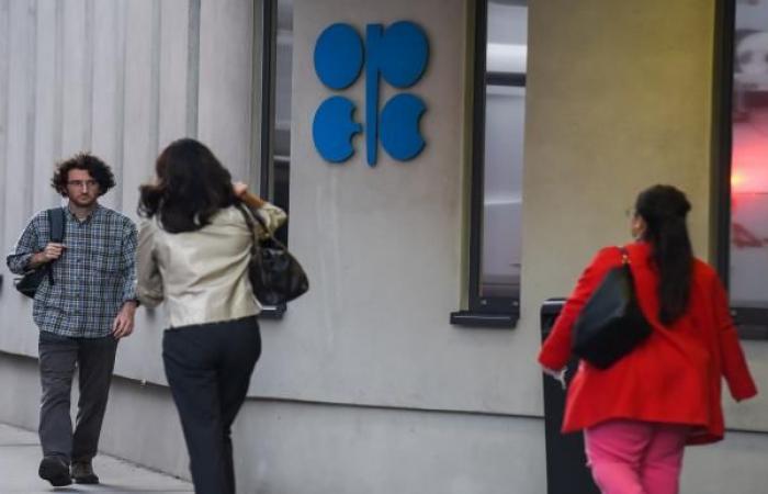 OPEC + begins its meetings amid expectations of an increase in...