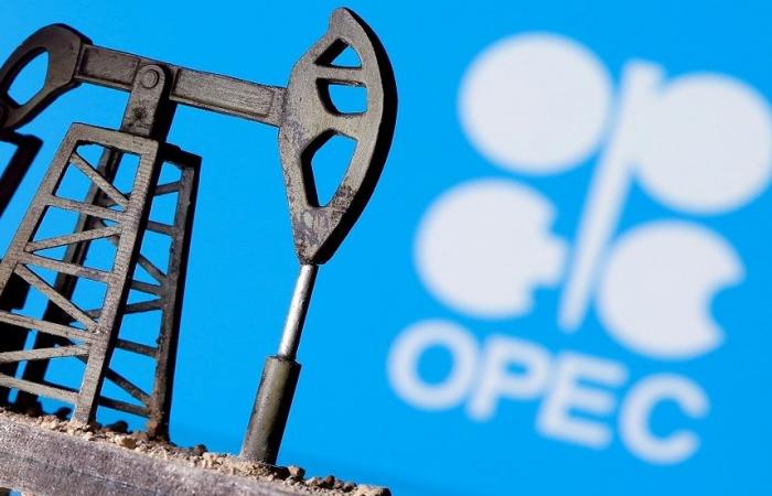 Algerian Energy Minister: “OPEC +” will take measures to maintain market...