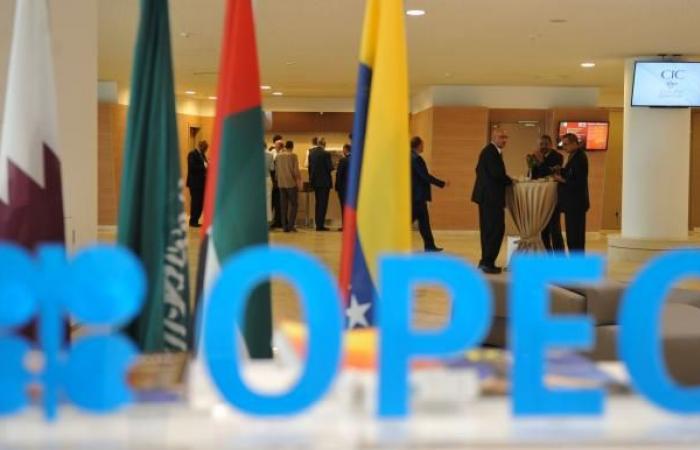 “OPEC +” meets on the impact of falling oil and the...