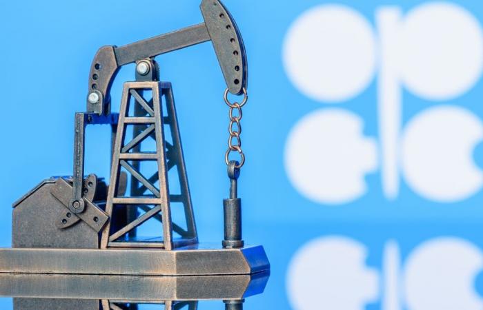 Oil prices rise despite “Omicron” .. and OPEC Plus may consider...