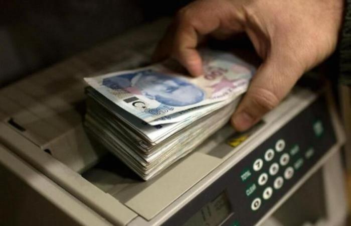 Turkish lira falls more than 2% as Erdogan renews his commitment...