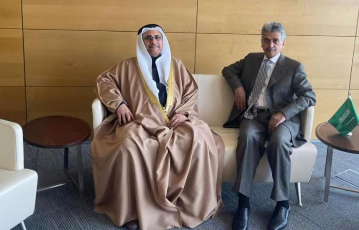 Saudi envoy, Arab League speaker discuss ties