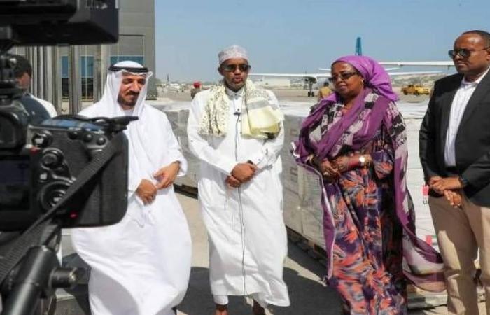 The Somali Prime Minister apologizes to the UAE for the 2018...
