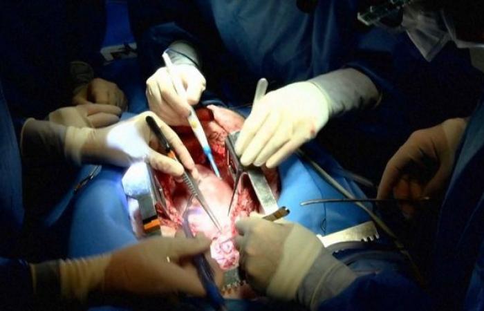 Transplantation of a genetically modified pig heart in a human body...