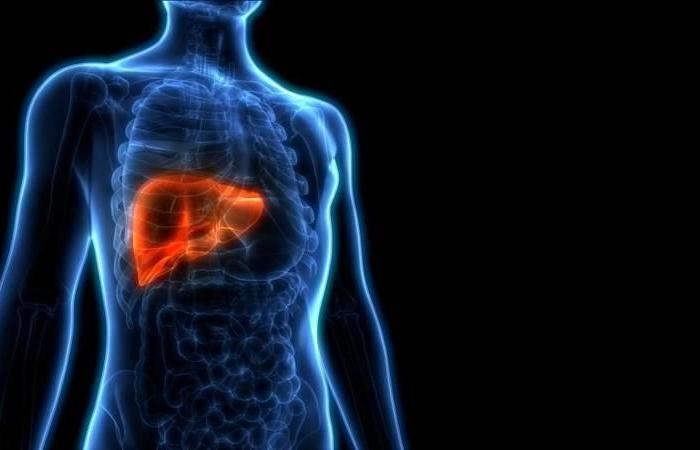 Jordan – Symptoms of liver cancer that you should pay attention...