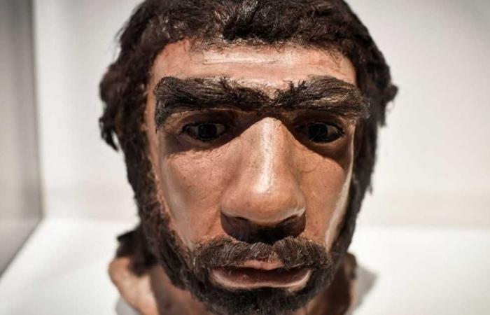 Study: The appearance of man on Earth is earlier than thought