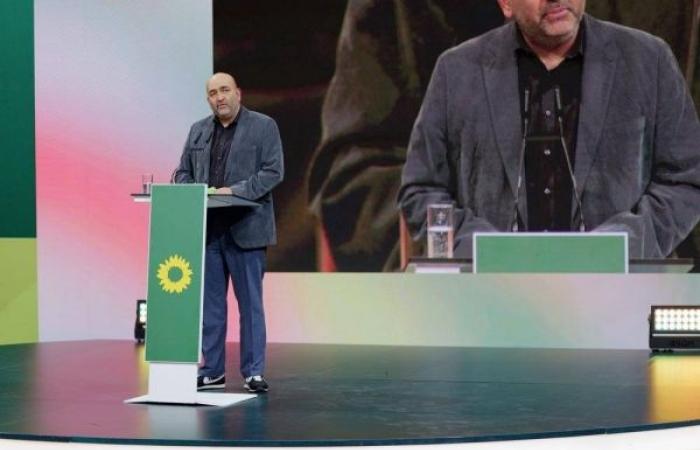 Ricarda Lang and Omid Nouripour elected to lead German Greens
