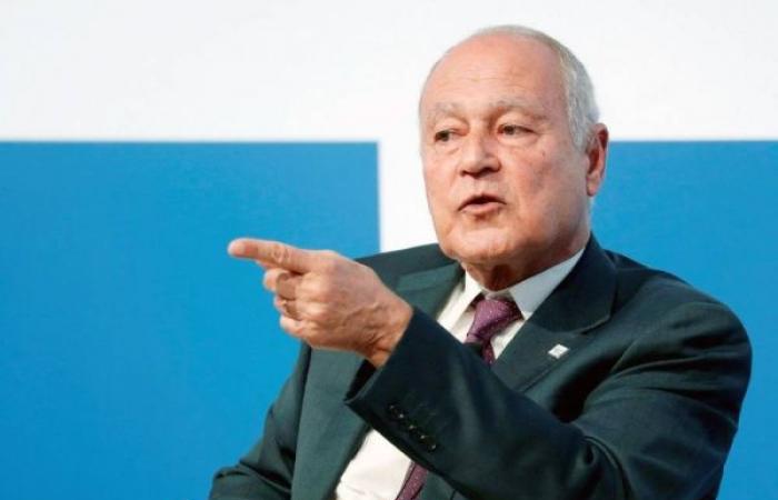 Aboul Gheit stresses importance of solidifying internal Palestinian Front