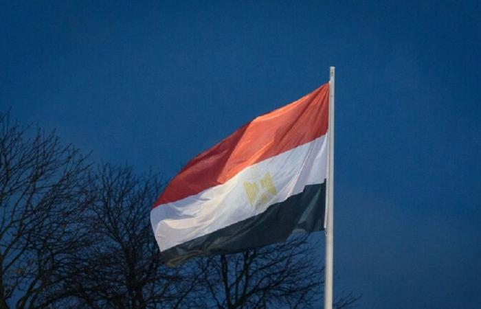 After being beaten and electrocuted, a Yemeni girl dies in Egypt