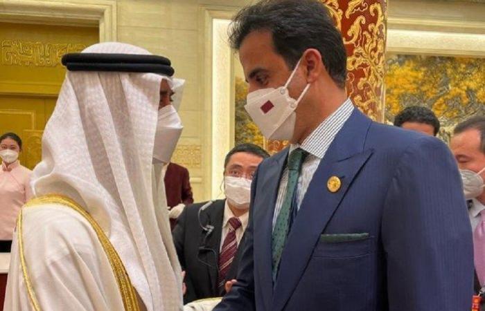 Watch.. The Emir of Qatar meets the Crown Prince of Abu...