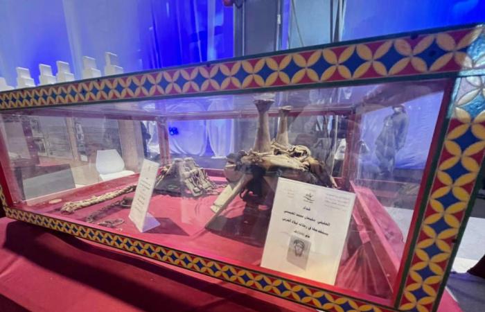 Aloqailat Museum brings history of country’s industry to Made in Saudi expo