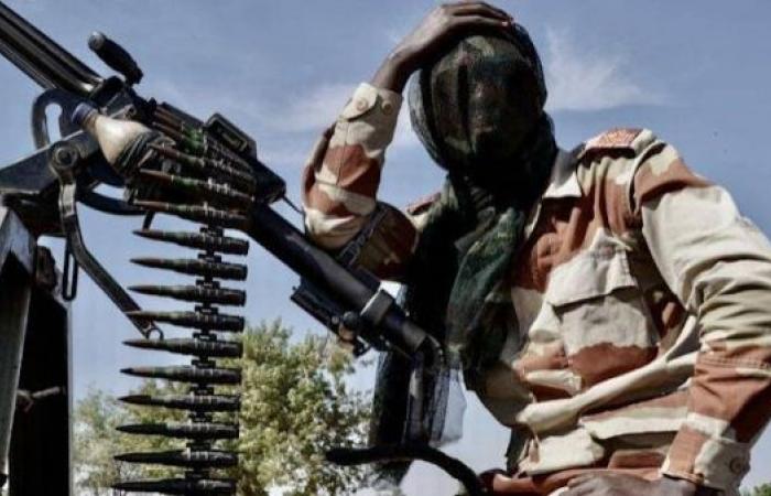 Nigerian air strike' kills seven children in Niger