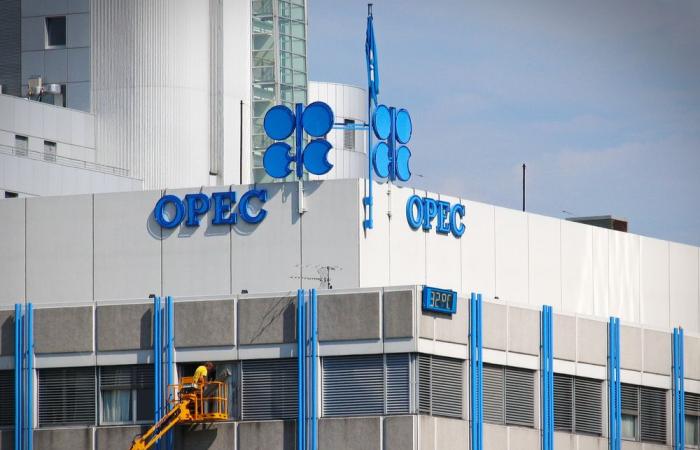 OPEC forecasts slower oil demand growth in 2023