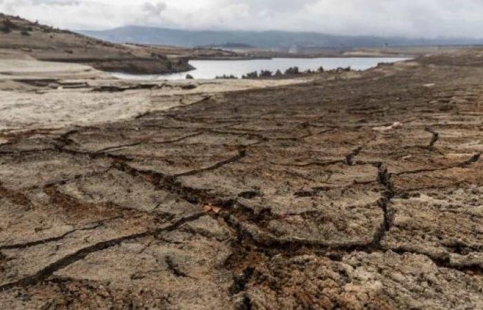 Portugal faces worst drought on record